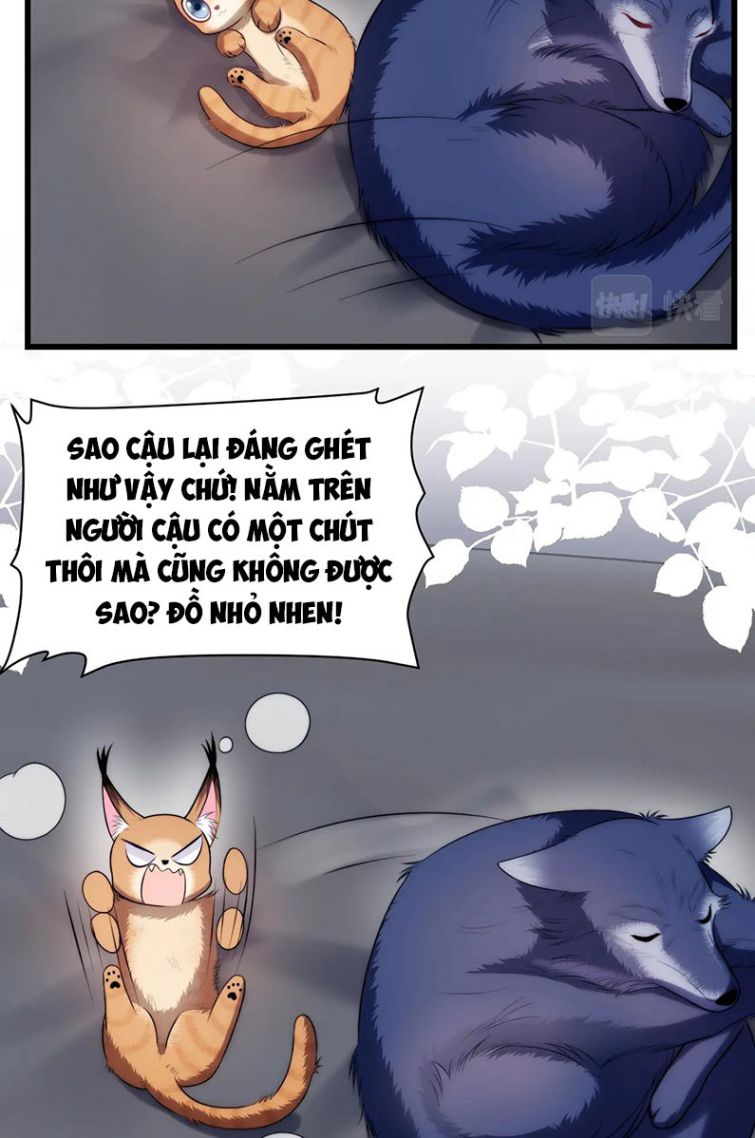 Tiểu Dã Miêu Của Học Bá Thật Trêu Người Chapter 19 - Next Chapter 20