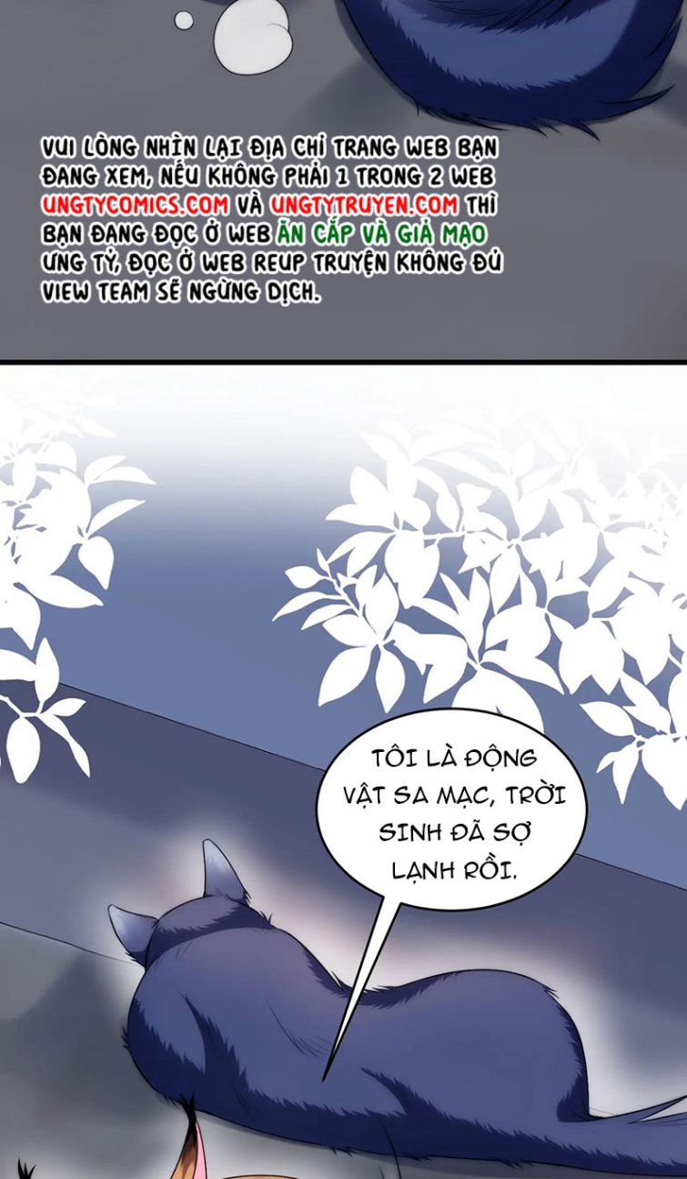 Tiểu Dã Miêu Của Học Bá Thật Trêu Người Chapter 19 - Next Chapter 20