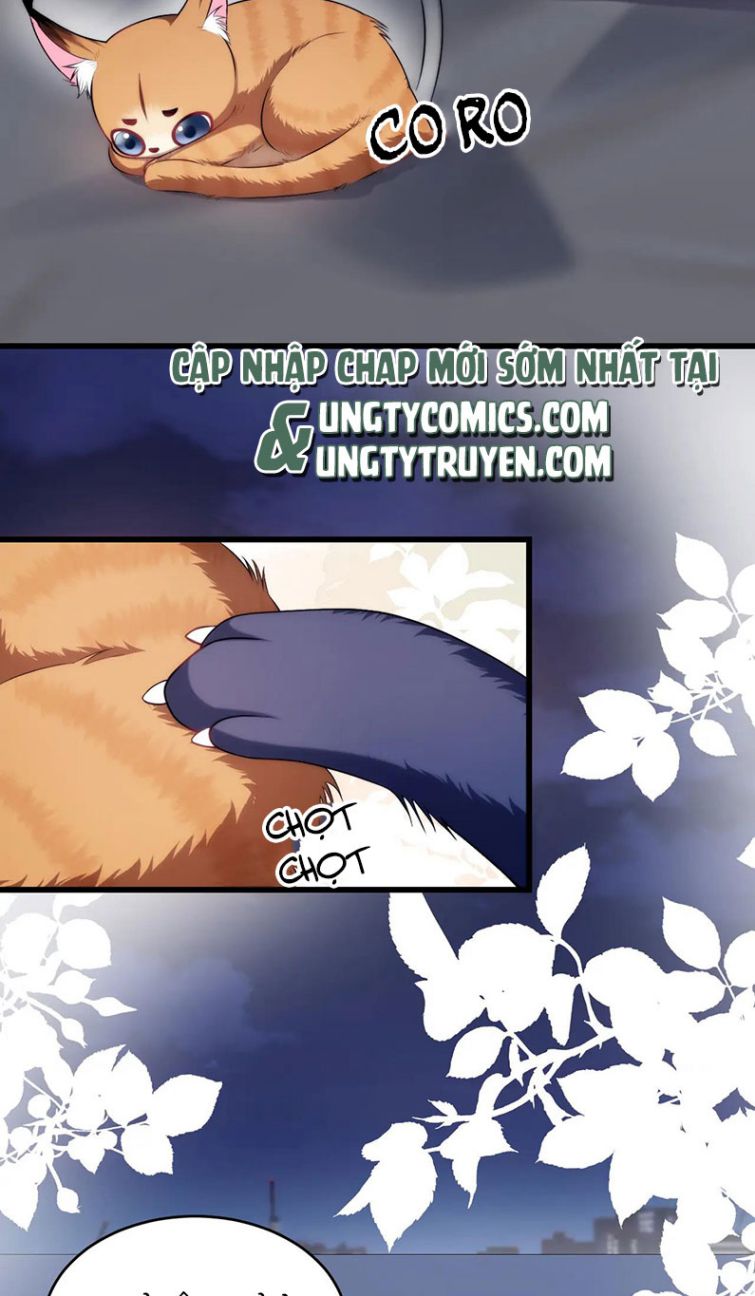 Tiểu Dã Miêu Của Học Bá Thật Trêu Người Chapter 19 - Next Chapter 20