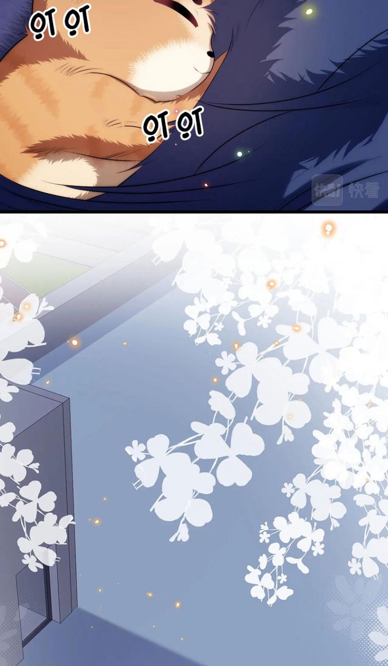 Tiểu Dã Miêu Của Học Bá Thật Trêu Người Chapter 19 - Next Chapter 20