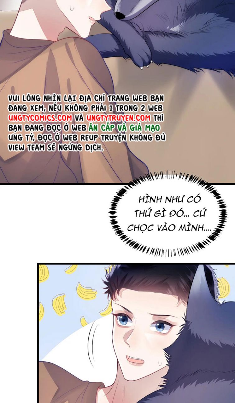 Tiểu Dã Miêu Của Học Bá Thật Trêu Người Chapter 19 - Next Chapter 20