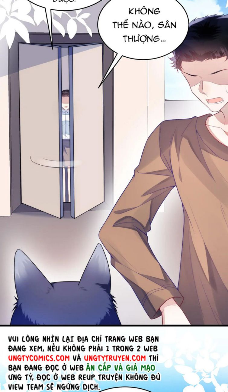 Tiểu Dã Miêu Của Học Bá Thật Trêu Người Chapter 19 - Next Chapter 20