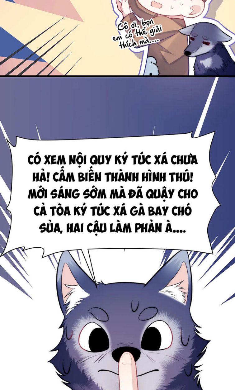Tiểu Dã Miêu Của Học Bá Thật Trêu Người Chapter 19 - Next Chapter 20