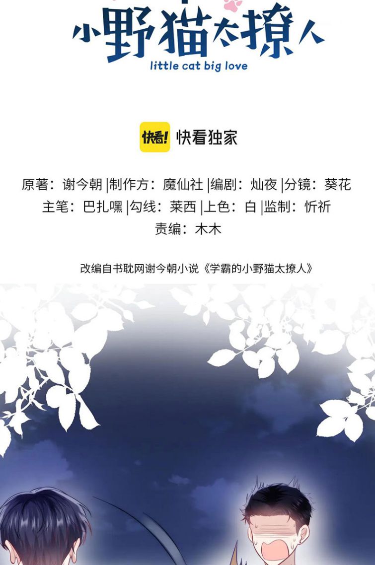 Tiểu Dã Miêu Của Học Bá Thật Trêu Người Chapter 19 - Next Chapter 20