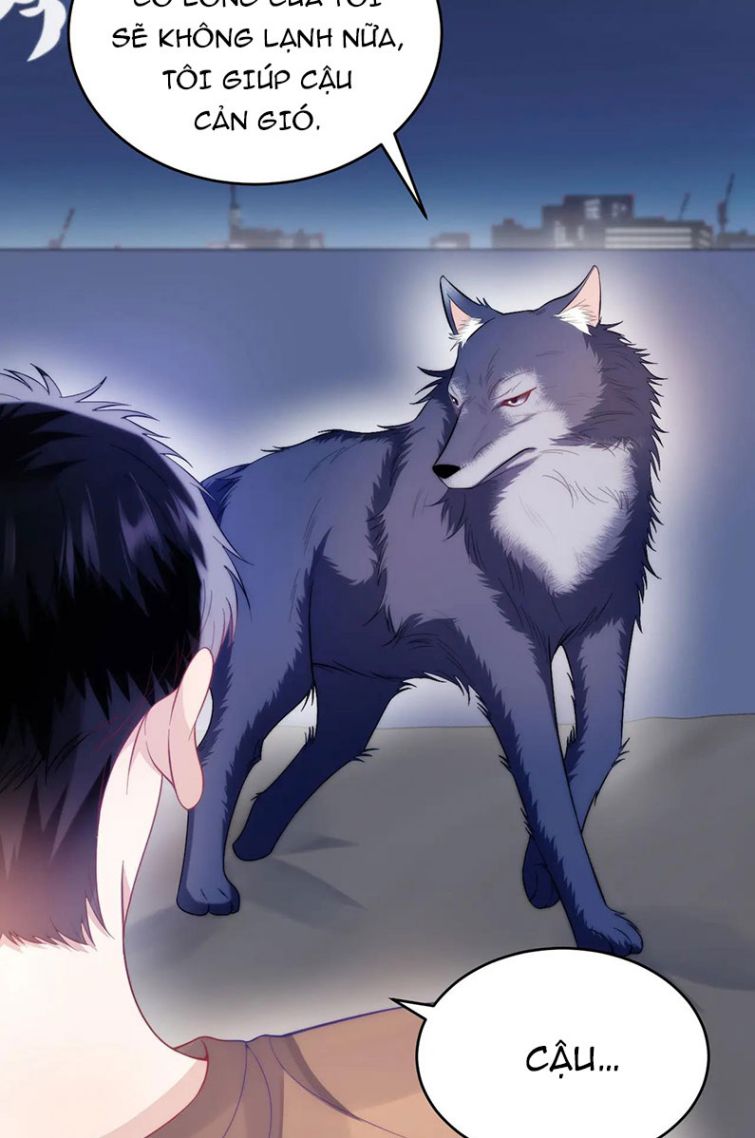 Tiểu Dã Miêu Của Học Bá Thật Trêu Người Chapter 19 - Next Chapter 20