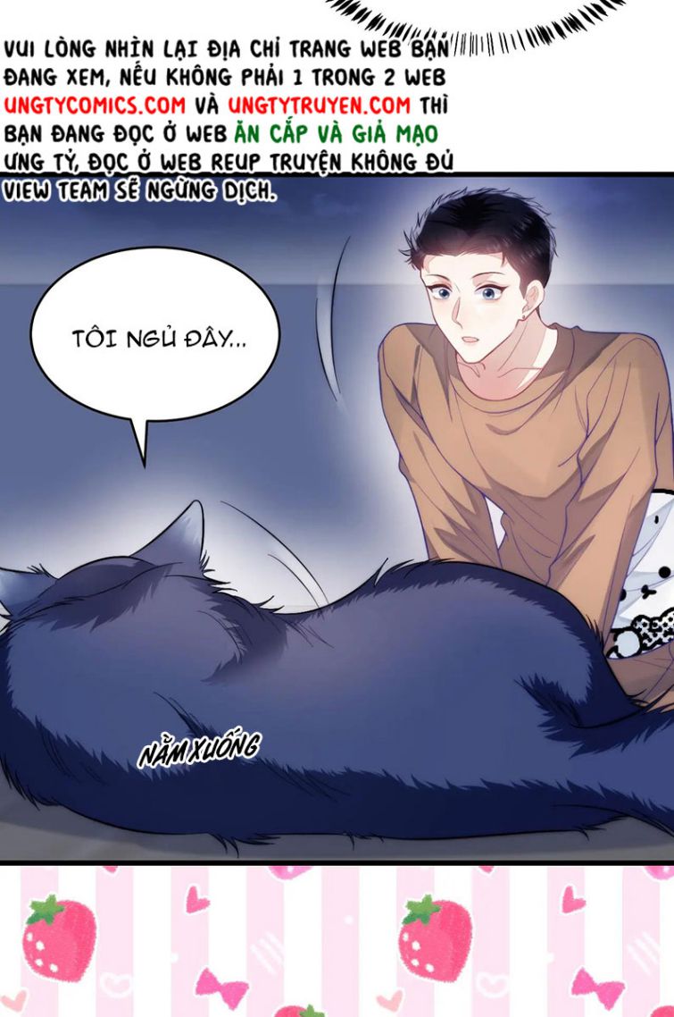 Tiểu Dã Miêu Của Học Bá Thật Trêu Người Chapter 19 - Next Chapter 20