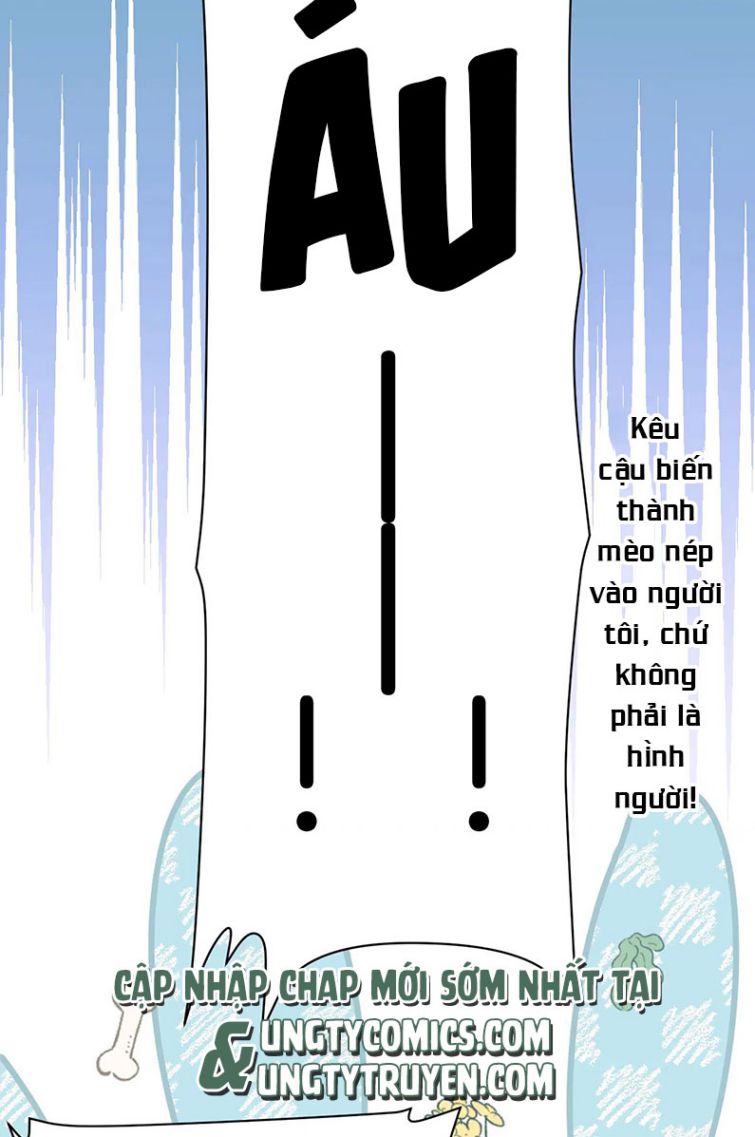 Tiểu Dã Miêu Của Học Bá Thật Trêu Người Chapter 19 - Next Chapter 20