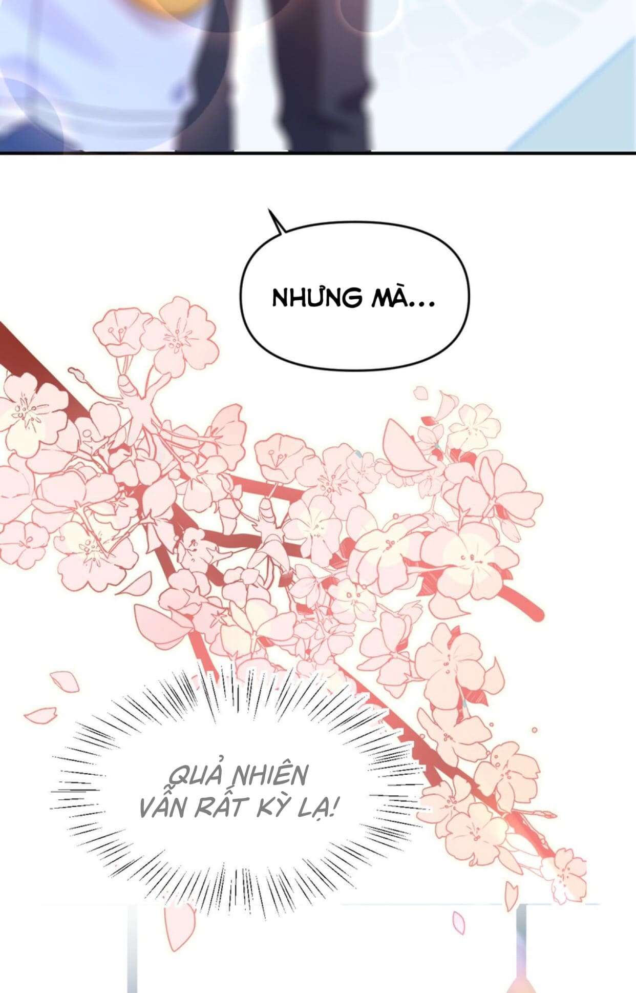 Mối Tình Đầu Của Cậu Ấy Chính Là Tôi Chap 24 - Next Chap 25