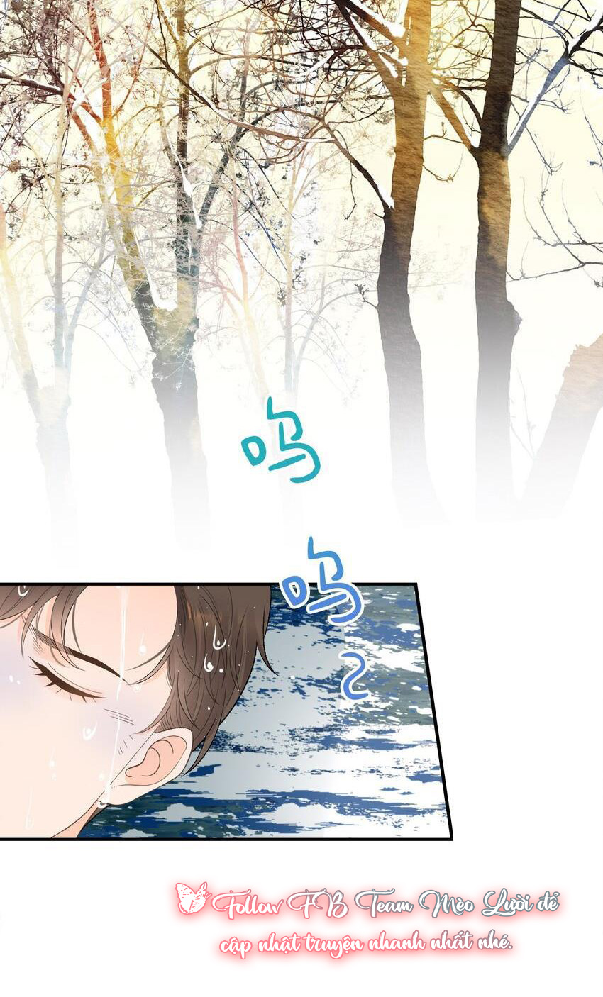 Nhịp Đập Thầm Lặng Chap 28 - Next Chap 29