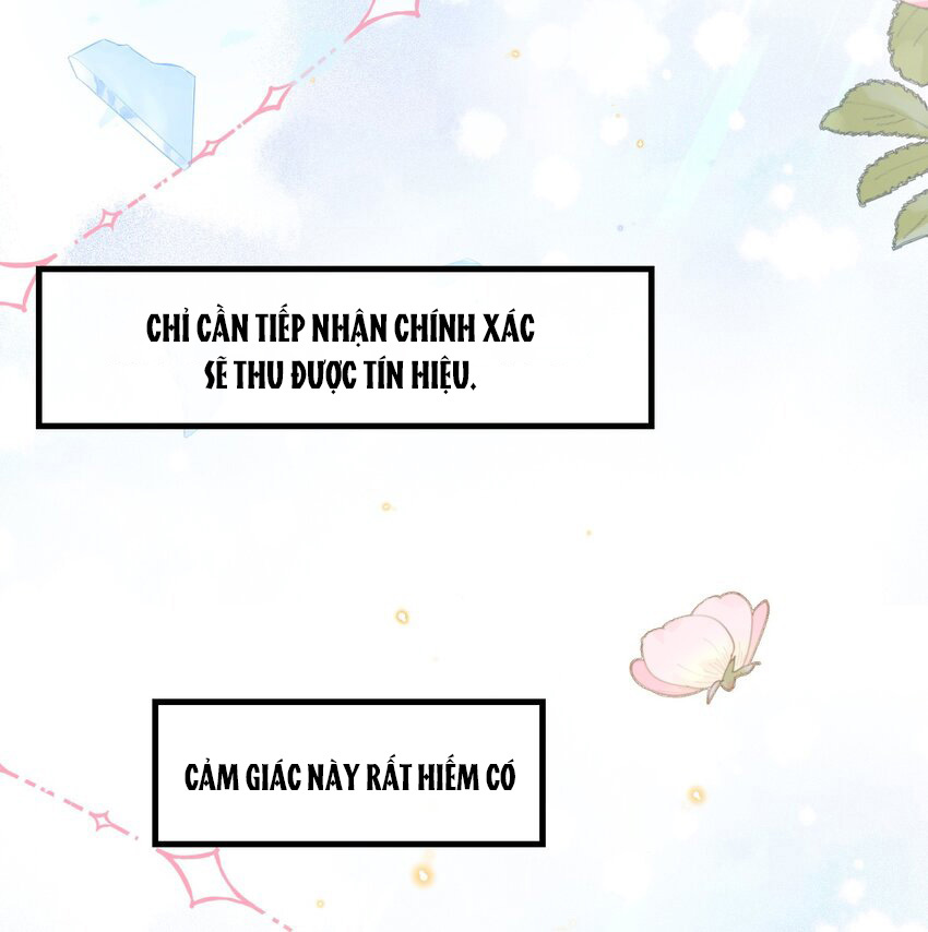 Mắt Bão Chap 33 - Next Chap 34