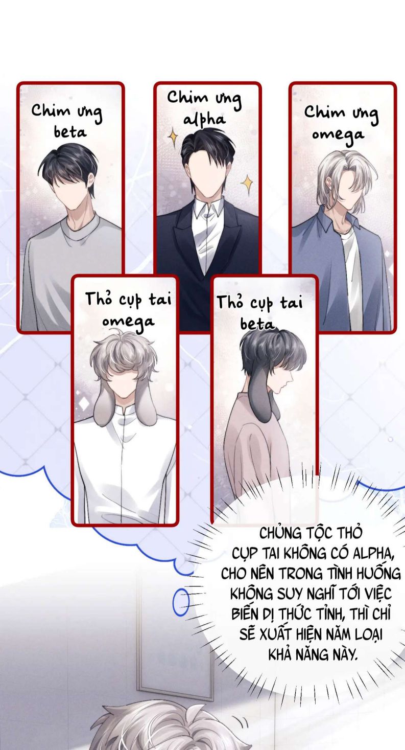 Chấp sự thỏ cụp tai Chapter 33 - Next Chapter 34