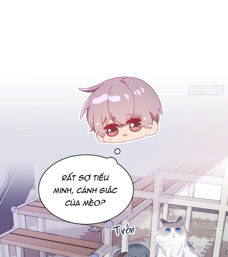 Muốn Sờ Đuôi Chap 17 - Next Chap 18