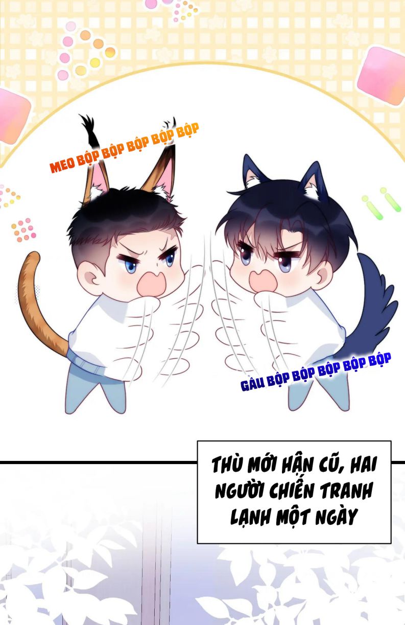 Tiểu Dã Miêu Của Học Bá Thật Trêu Người Chap 71 - Next Chap 72