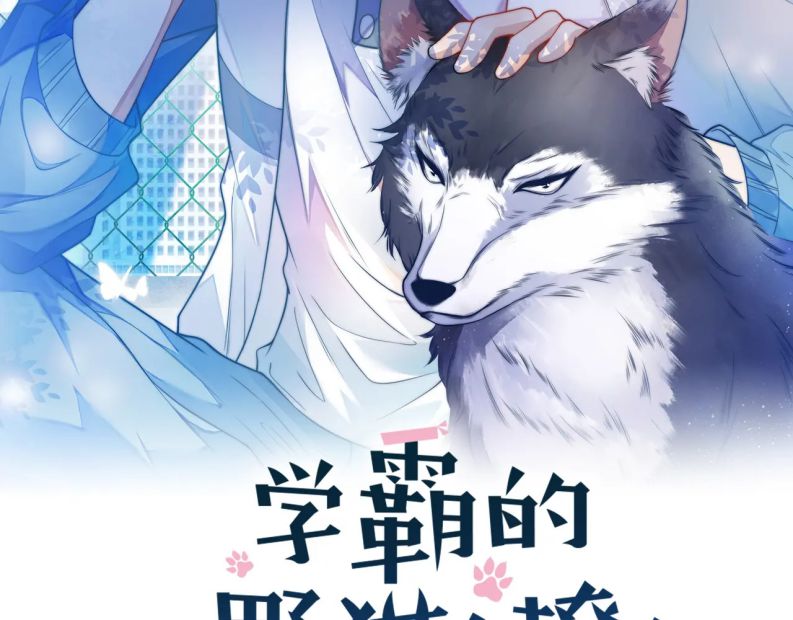 Tiểu Dã Miêu Của Học Bá Thật Trêu Người Chap 71 - Next Chap 72