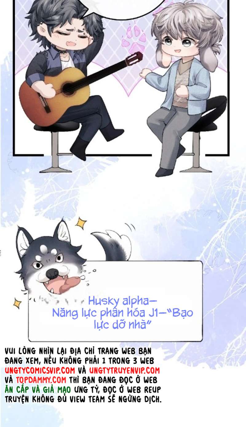Chấp sự thỏ cụp tai Chapter 35 - Next Chapter 36