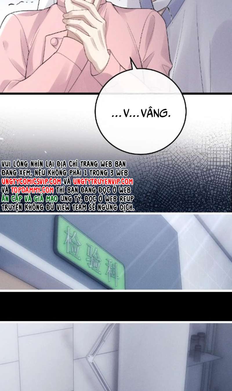 Chấp sự thỏ cụp tai Chapter 35 - Next Chapter 36