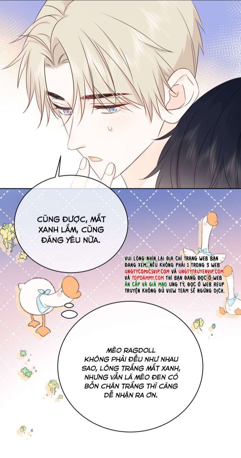 Dinh Dưỡng Quá Tốt Chap 48 - Next Chap 49