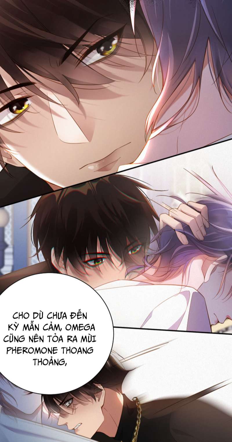 Chồng Trước Lại Muốn Phục Hôn Rồi Chapter 1 - Next Chapter 2