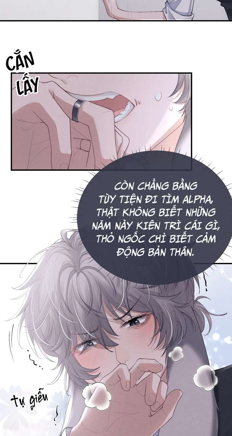 Chấp sự thỏ cụp tai Chapter 37 - Next Chapter 38