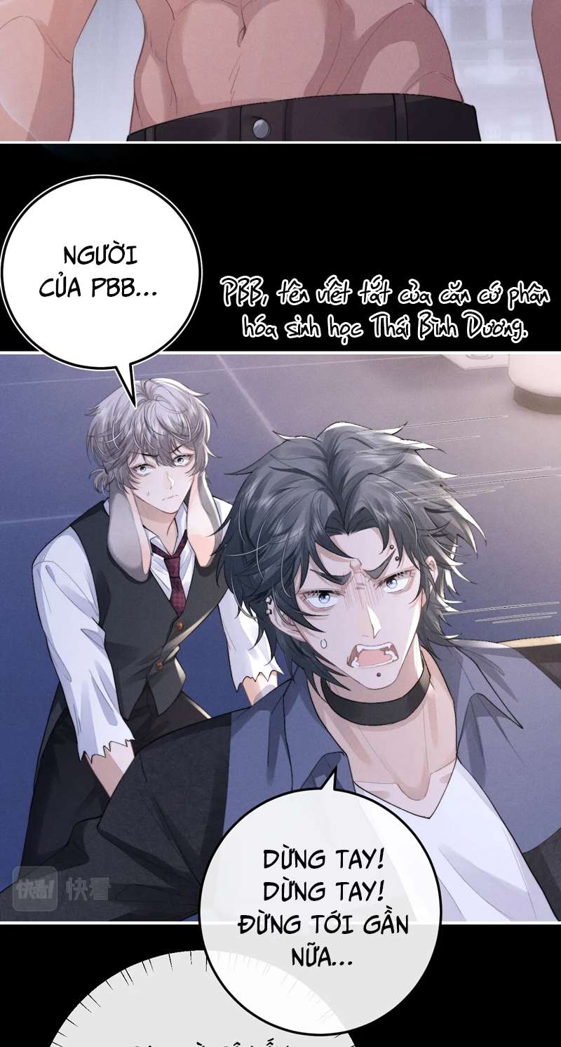 Chấp sự thỏ cụp tai Chapter 37 - Next Chapter 38