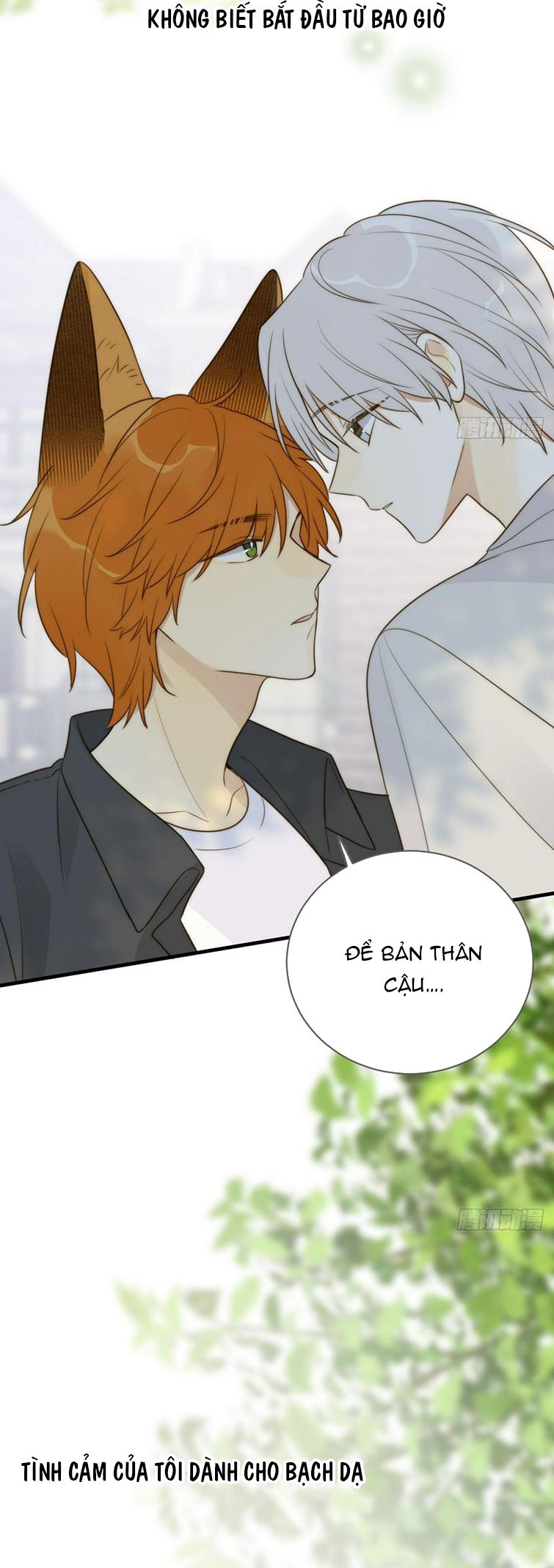 Chỉ Có Đuôi Là Không Thể Chap 33 - Next Chap 34