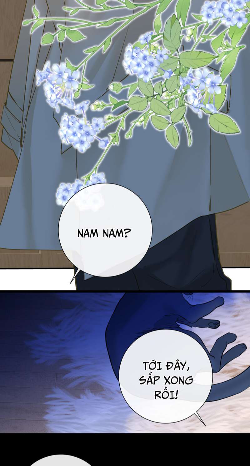 Học Bá 985 Chap 61 - Next Chap 62