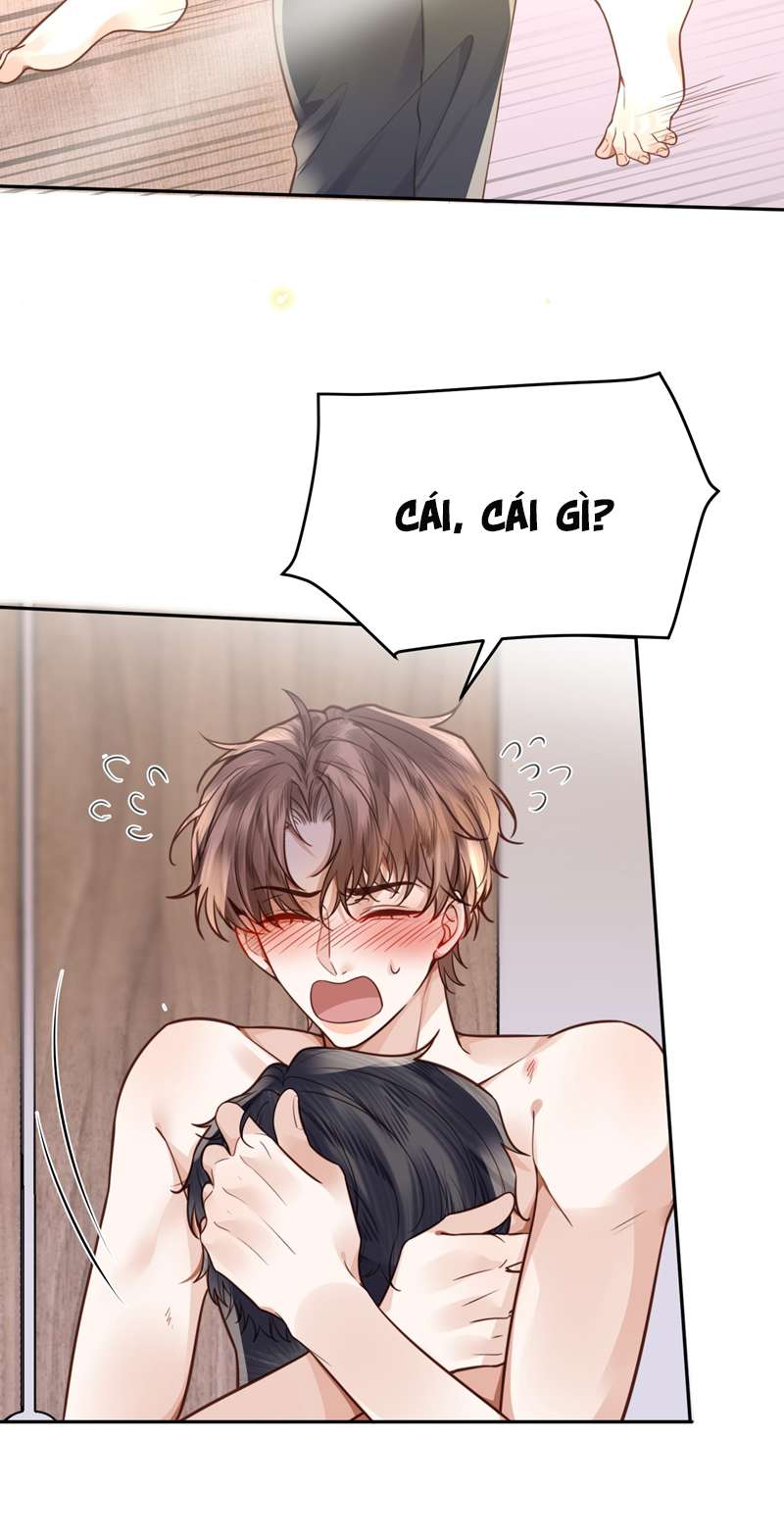 Định Chế Tư Nhân Tổng Tài Chap 44 - Next Chap 45