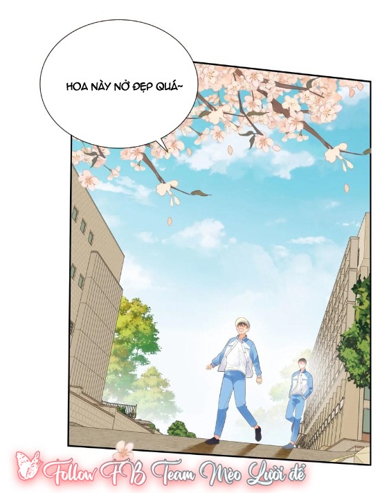 Nhịp Đập Thầm Lặng Chap 33 (END) - Next 