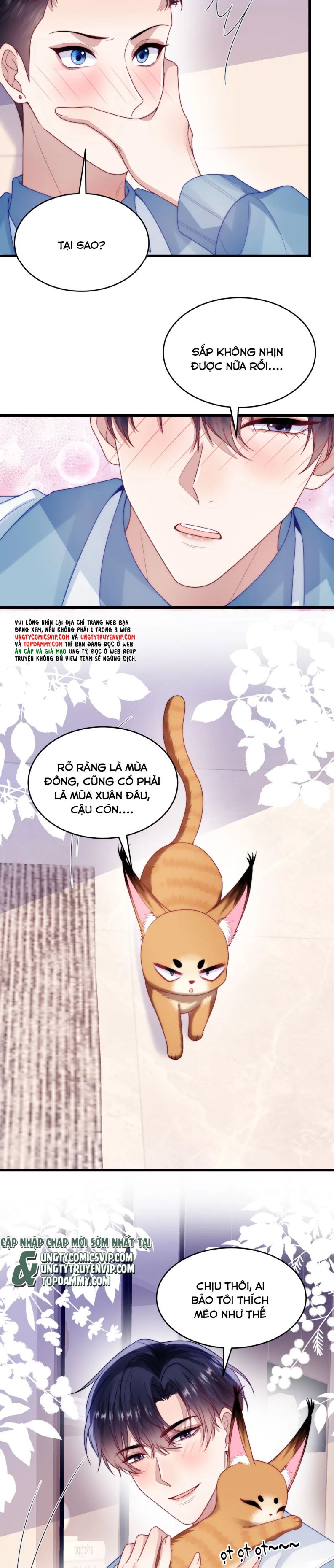 Tiểu Dã Miêu Của Học Bá Thật Trêu Người Chap 77 - Next Chap 78