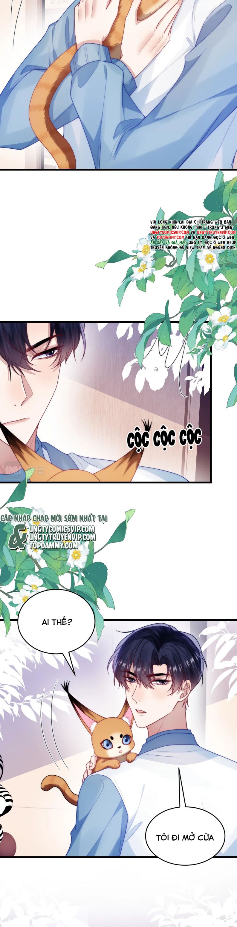 Tiểu Dã Miêu Của Học Bá Thật Trêu Người Chap 77 - Next Chap 78