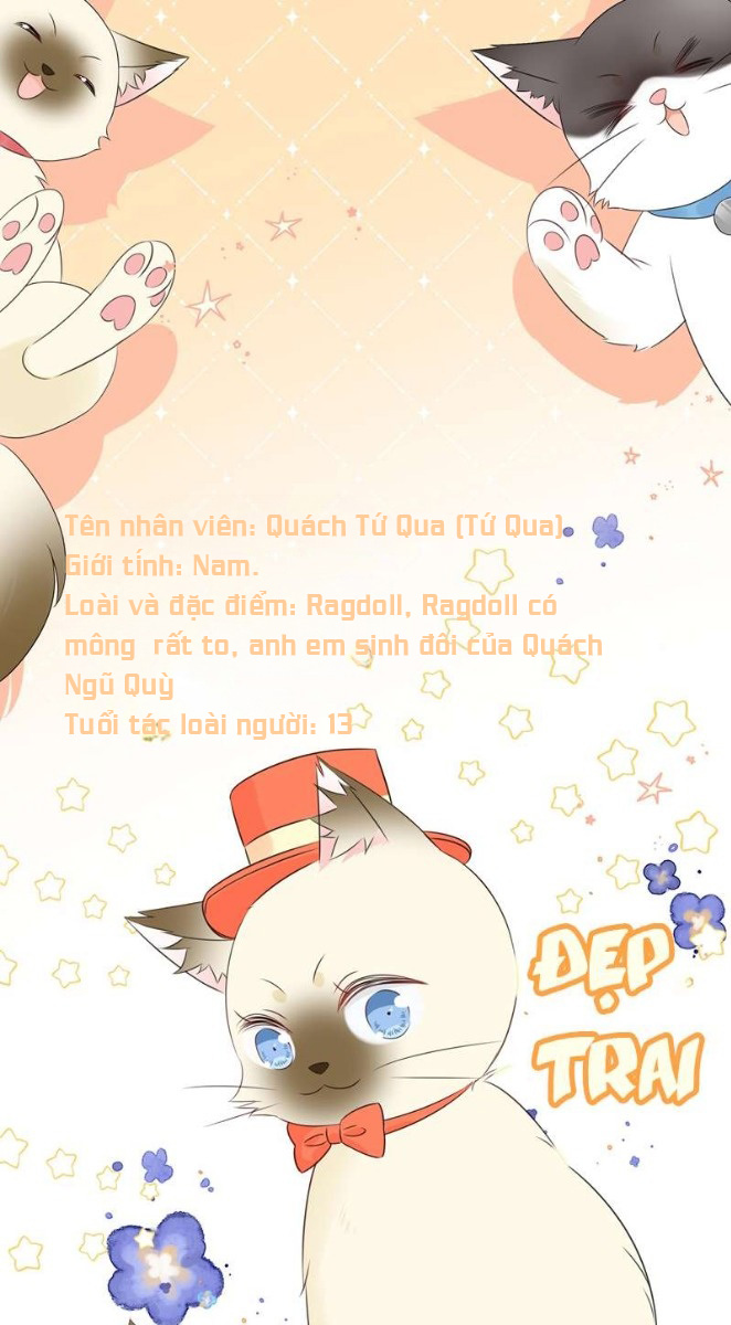 Dinh Dưỡng Quá Tốt Chap 51 - Next Chap 52