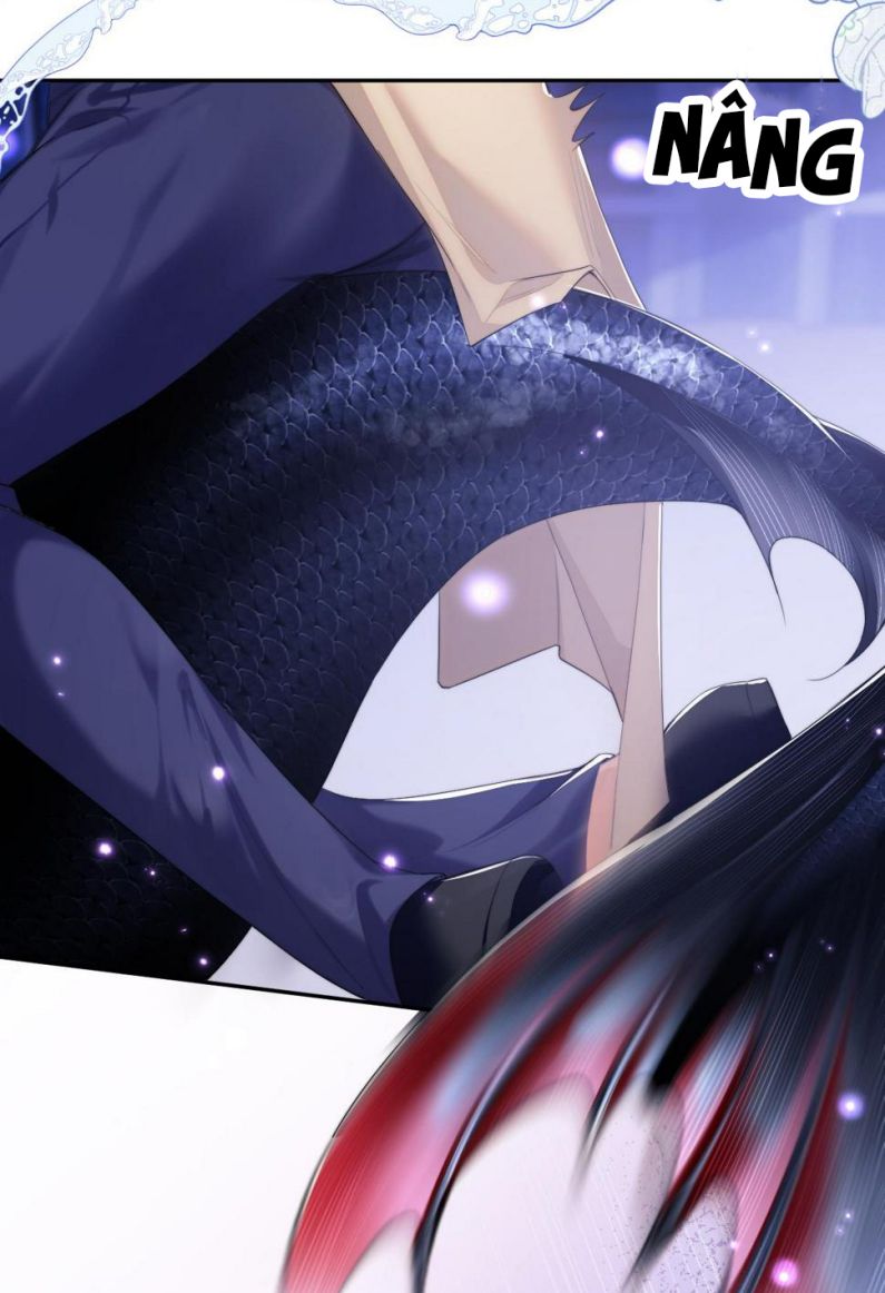 Desharow Nhân Ngư Chapter 4 - Next Chapter 5
