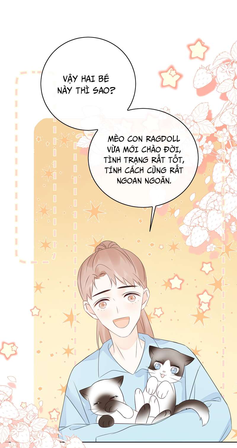 Dinh Dưỡng Quá Tốt Chap 53 - Next Chap 54