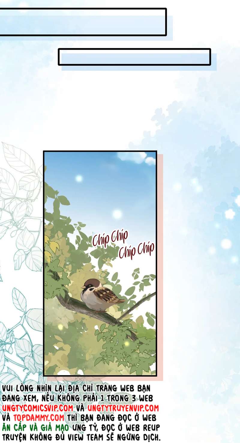 Sau Khi Mất Trí Nhớ Tình Địch Nói Tôi Là Bạn Trai Anh Ấy Chap 16 - Next Chap 17