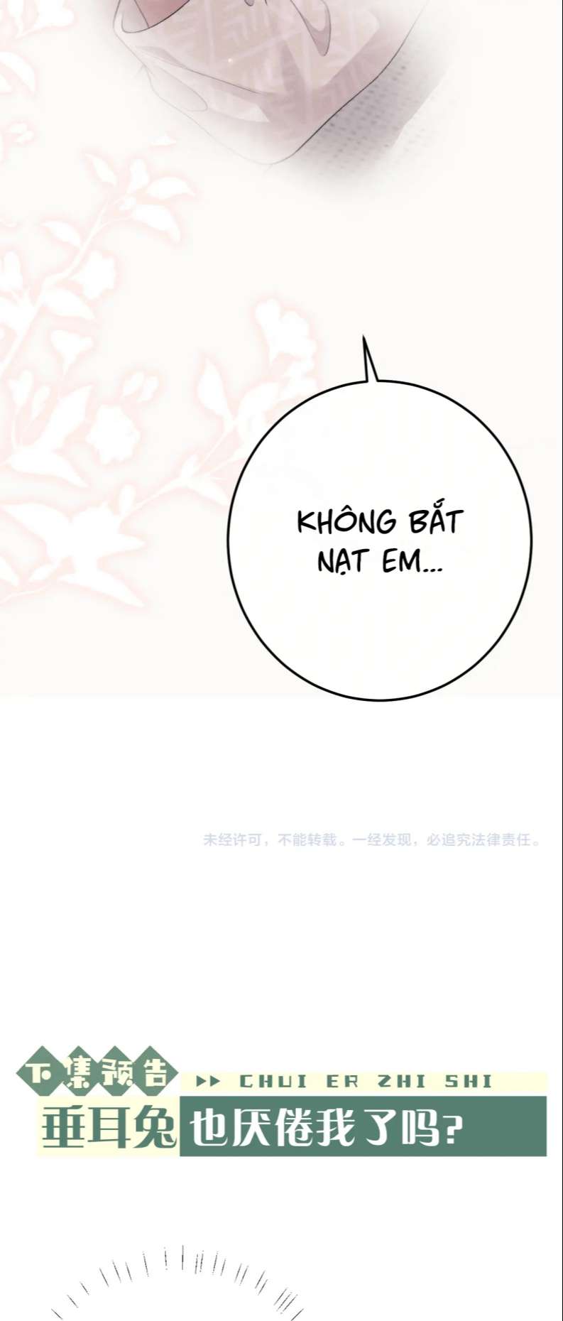 Chấp sự thỏ cụp tai Chapter 42 - Next Chapter 43