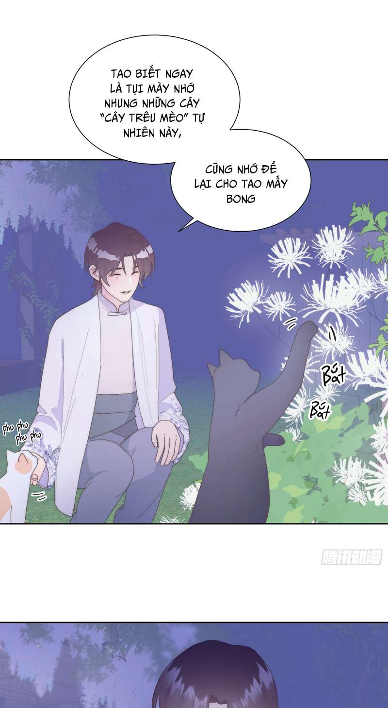 Mời Nhập Mật Mã Kích Hoạt Chap 5 - Next Chap 6