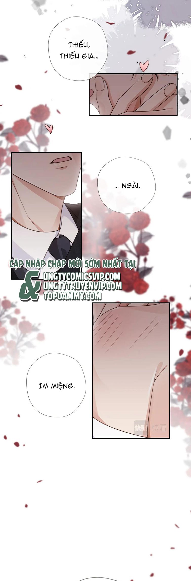 Em Ấy Vừa Nhìn Thấy Tôi Liền Vẫy Đuôi Chap 52 - Next Chap 53