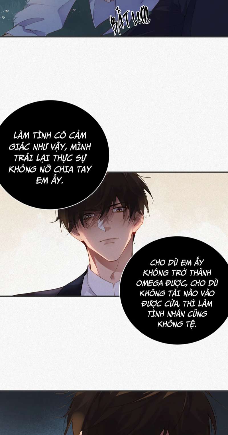 Chồng Trước Lại Muốn Phục Hôn Rồi Chapter 11 - Next Chapter 12