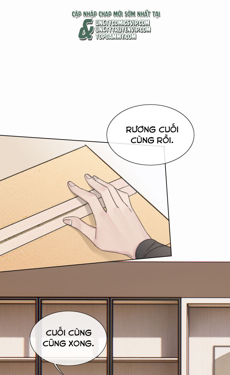 Sau Khi Xuyên Thành Pháo Hôi Tôi Chỉ Muốn Ly Hôn Chap 18 - Next Chap 19: END