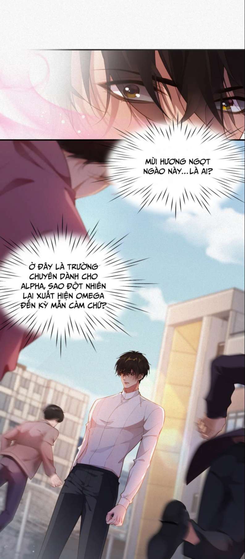 Chồng Trước Lại Muốn Phục Hôn Rồi Chapter 12 - Next Chapter 13