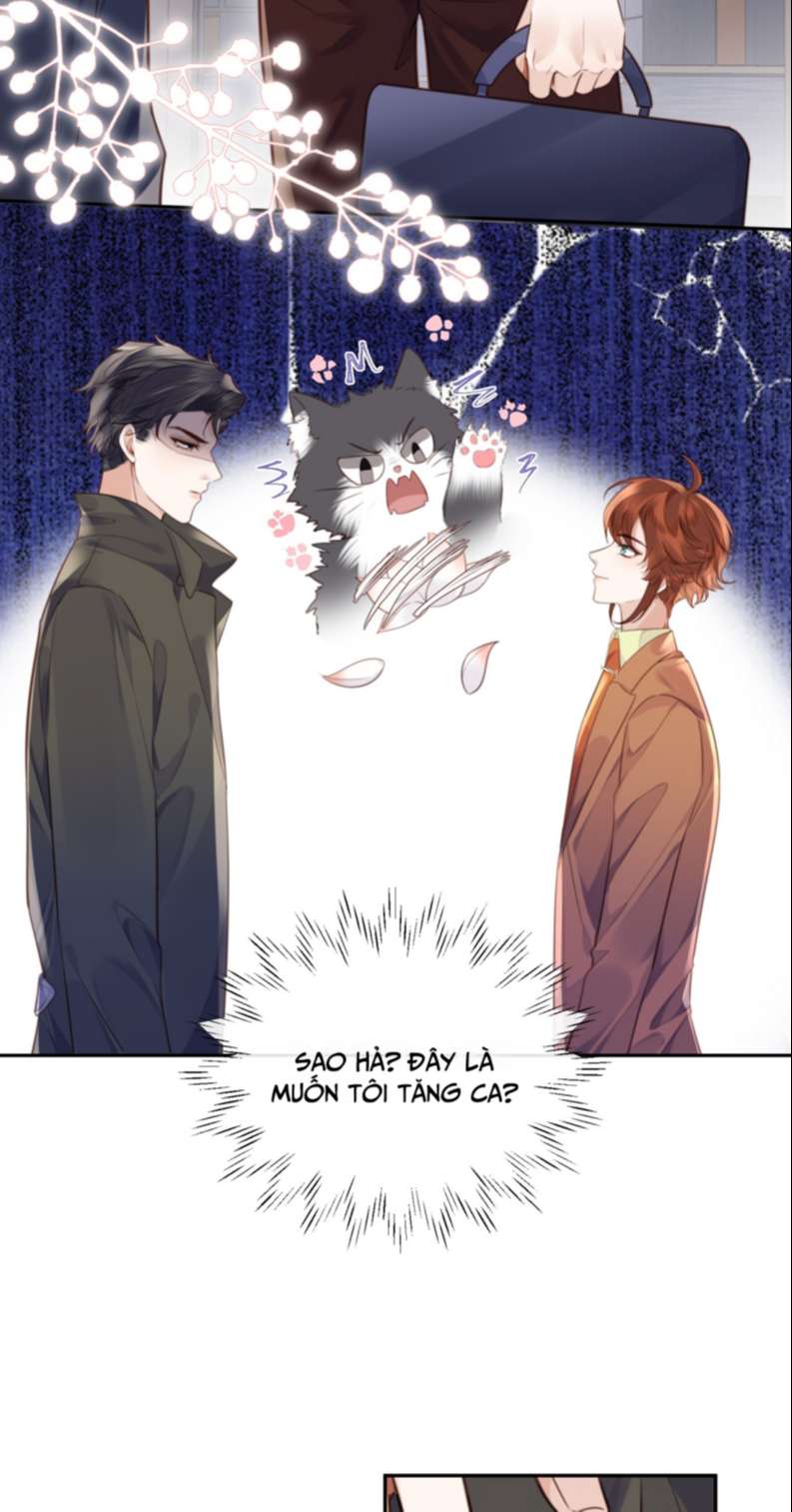 Định Chế Tư Nhân Tổng Tài Chap 51 - Next Chap 52