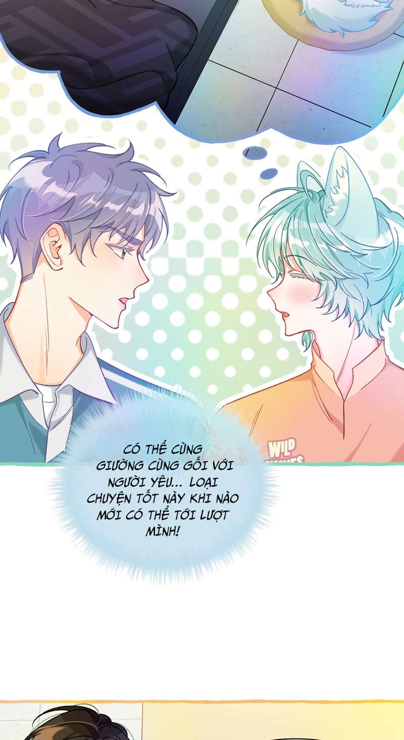 Hồ Ly Rắc Rối Chap 25: ÈND - Next 