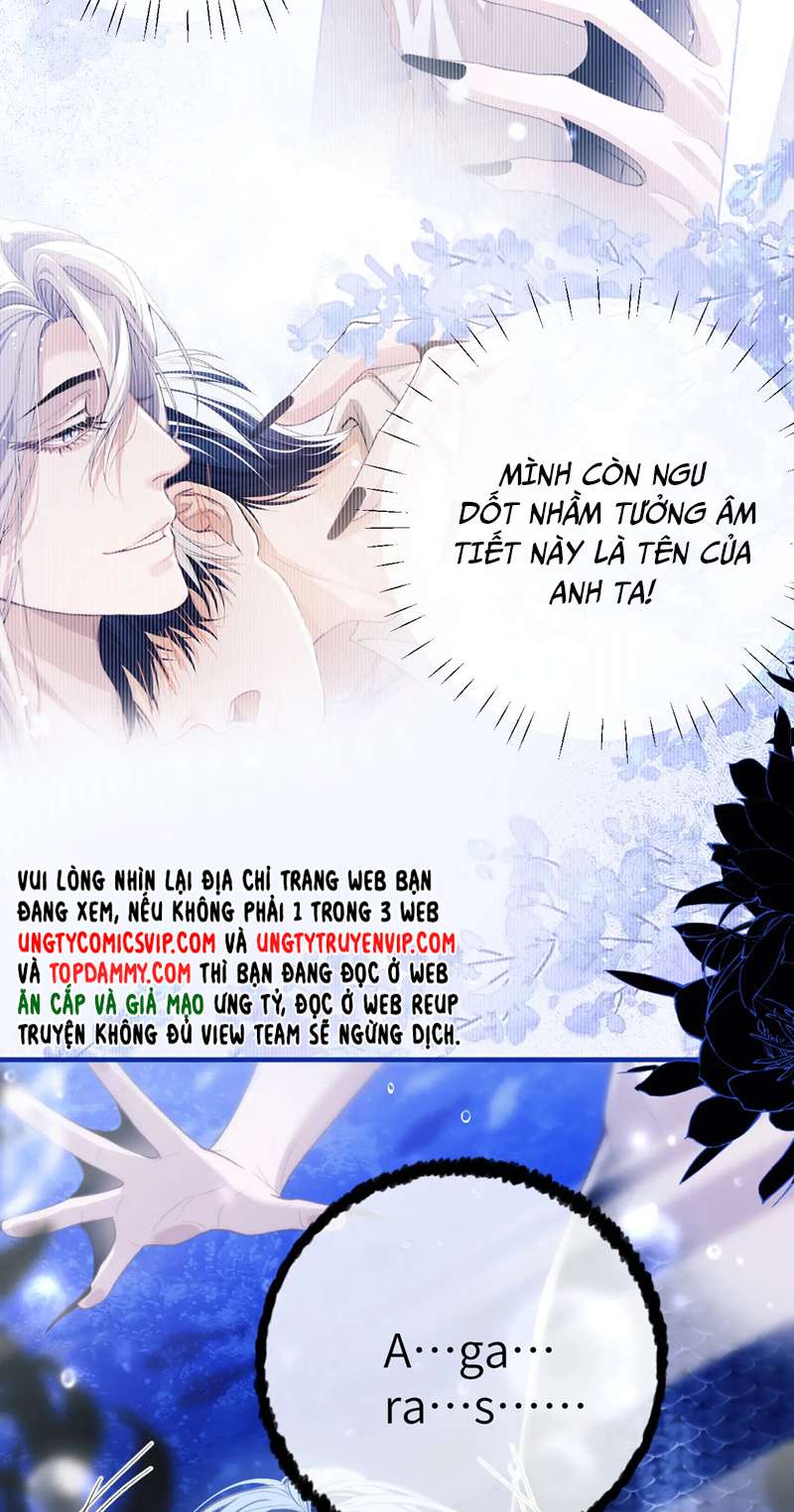 Desharow Nhân Ngư Chapter 10 - Next Chapter 11