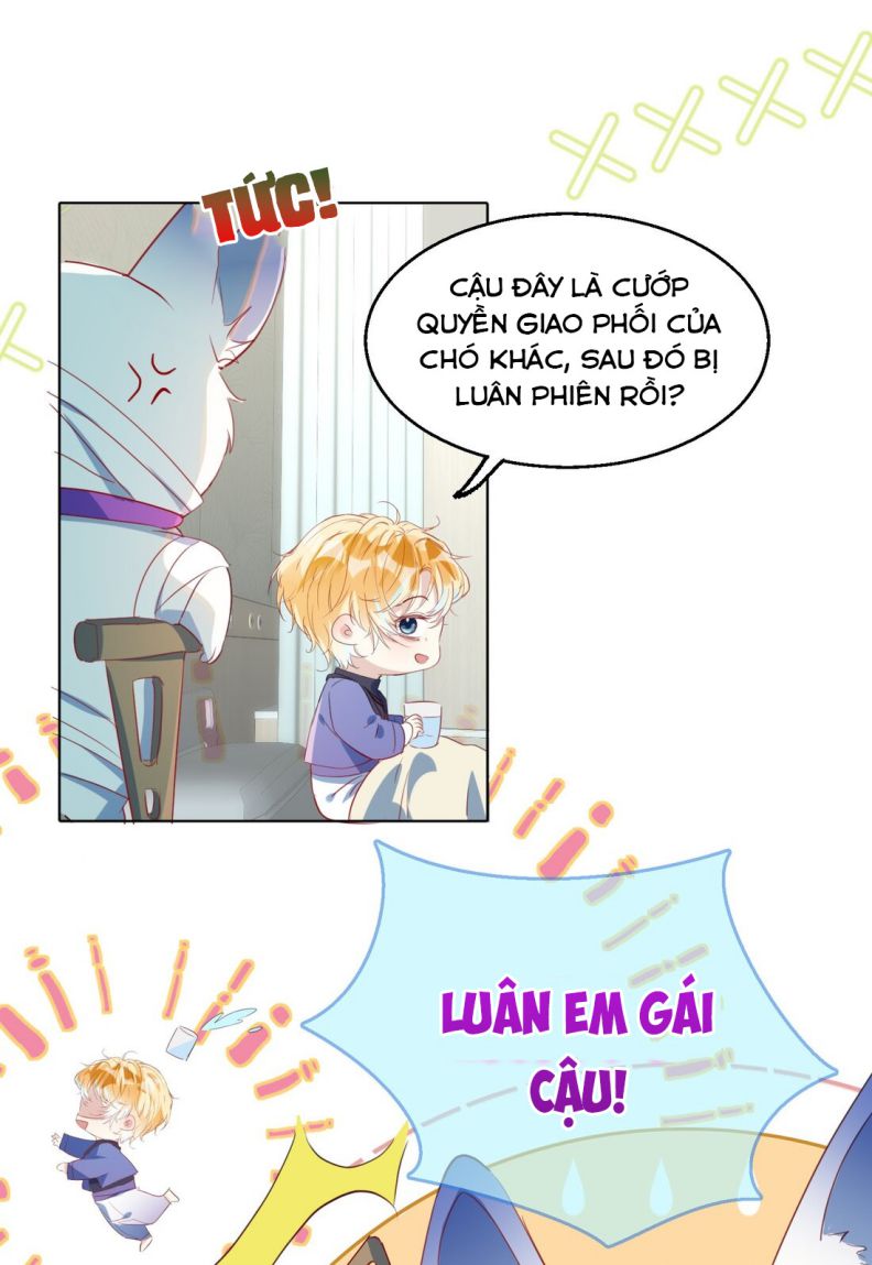 Sổ tay công lược ảnh đế Chapter 5 - Next Chapter 6