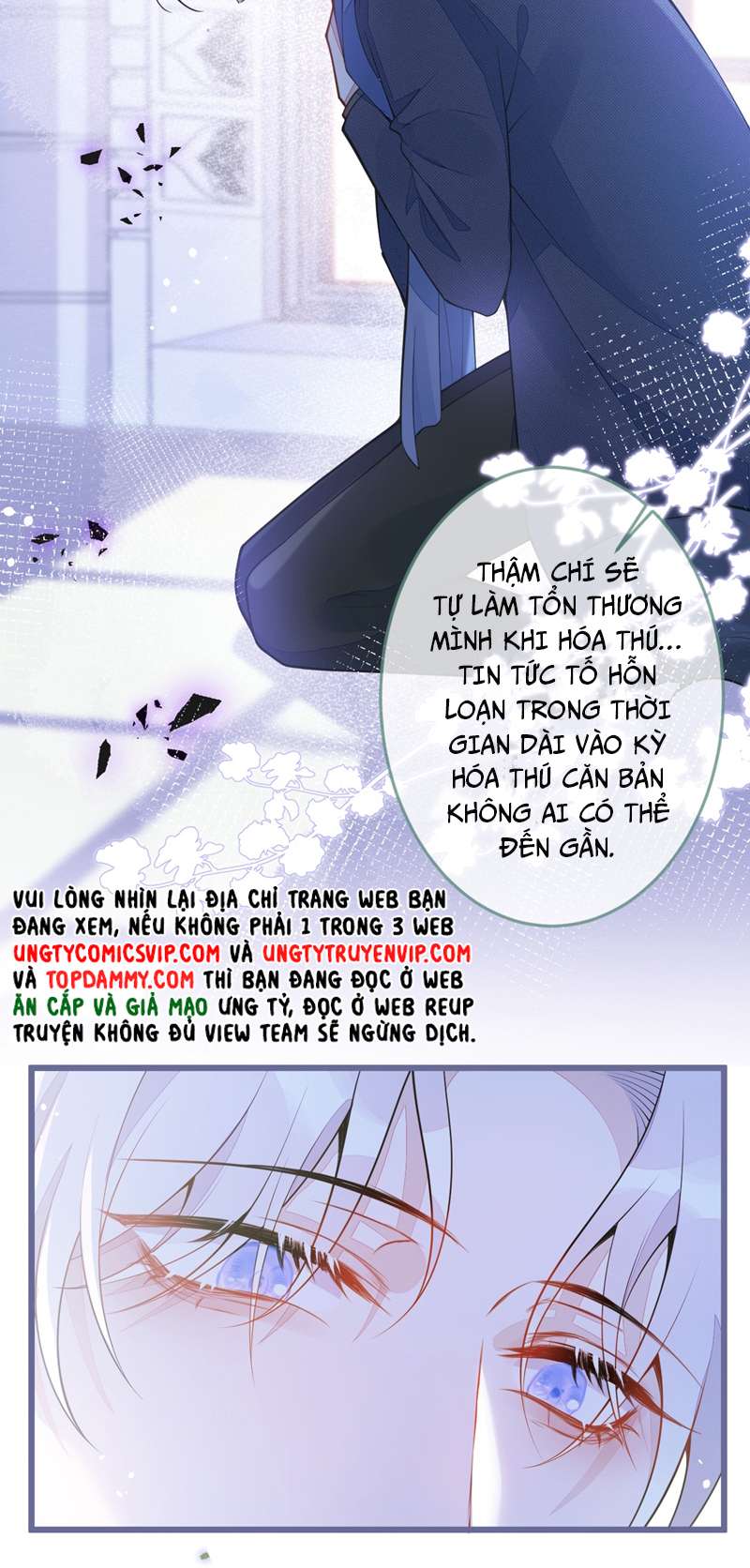 Báo Ân Của Sói Chap 1 - Next Chap 2