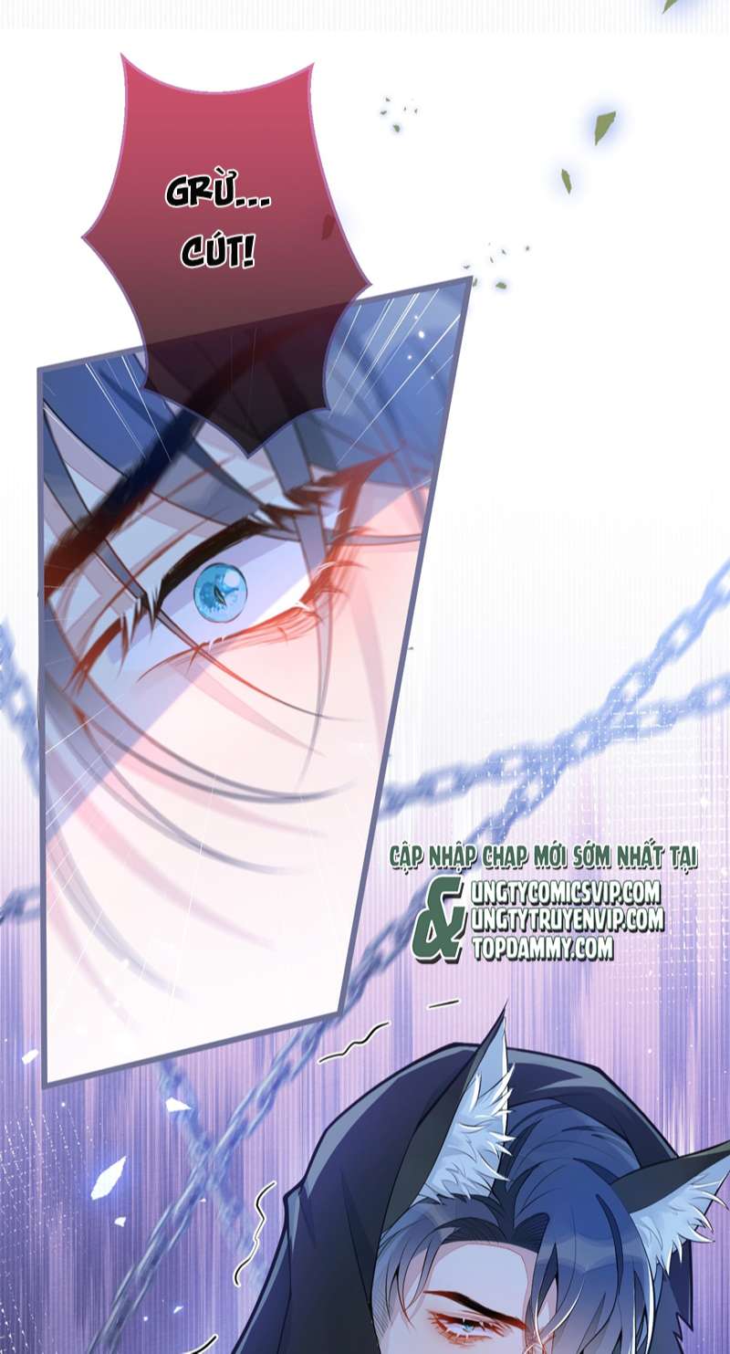 Báo Ân Của Sói Chap 1 - Next Chap 2