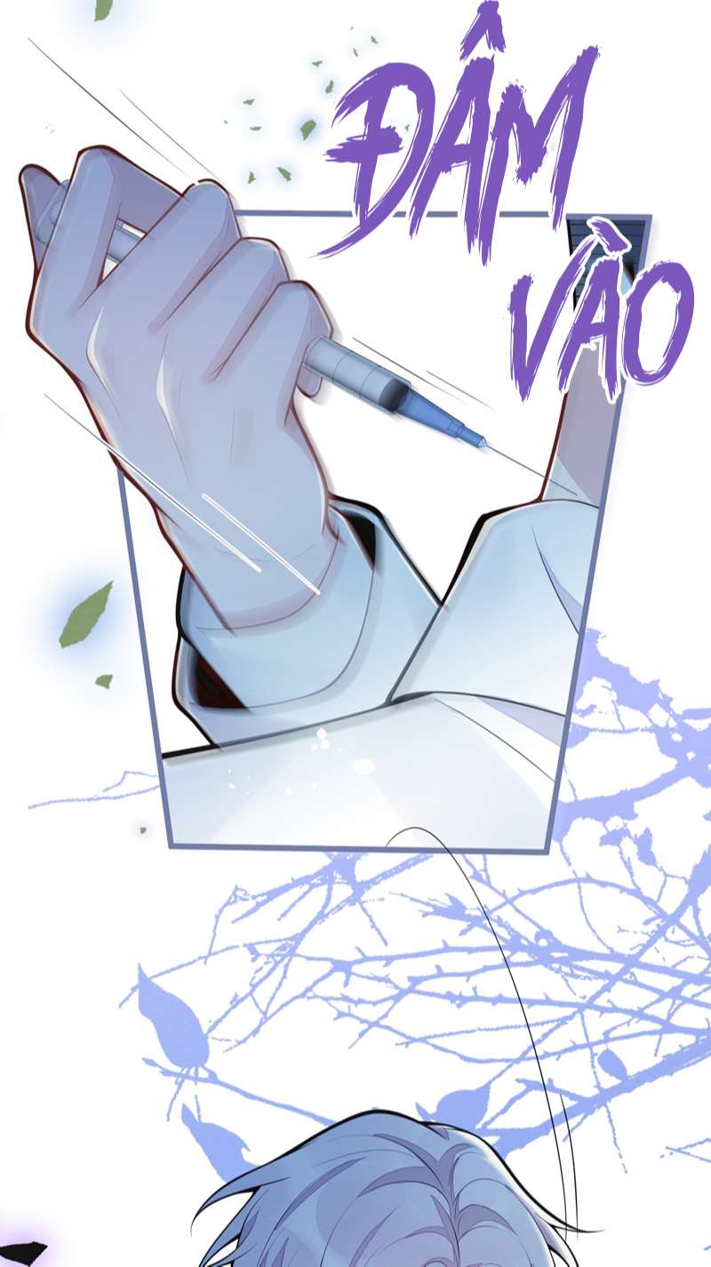 Báo Ân Của Sói Chap 1 - Next Chap 2