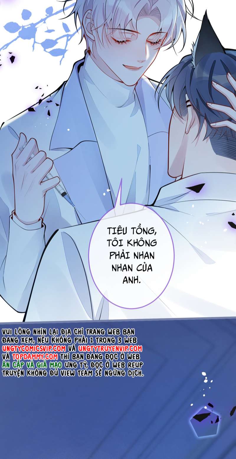 Báo Ân Của Sói Chap 1 - Next Chap 2