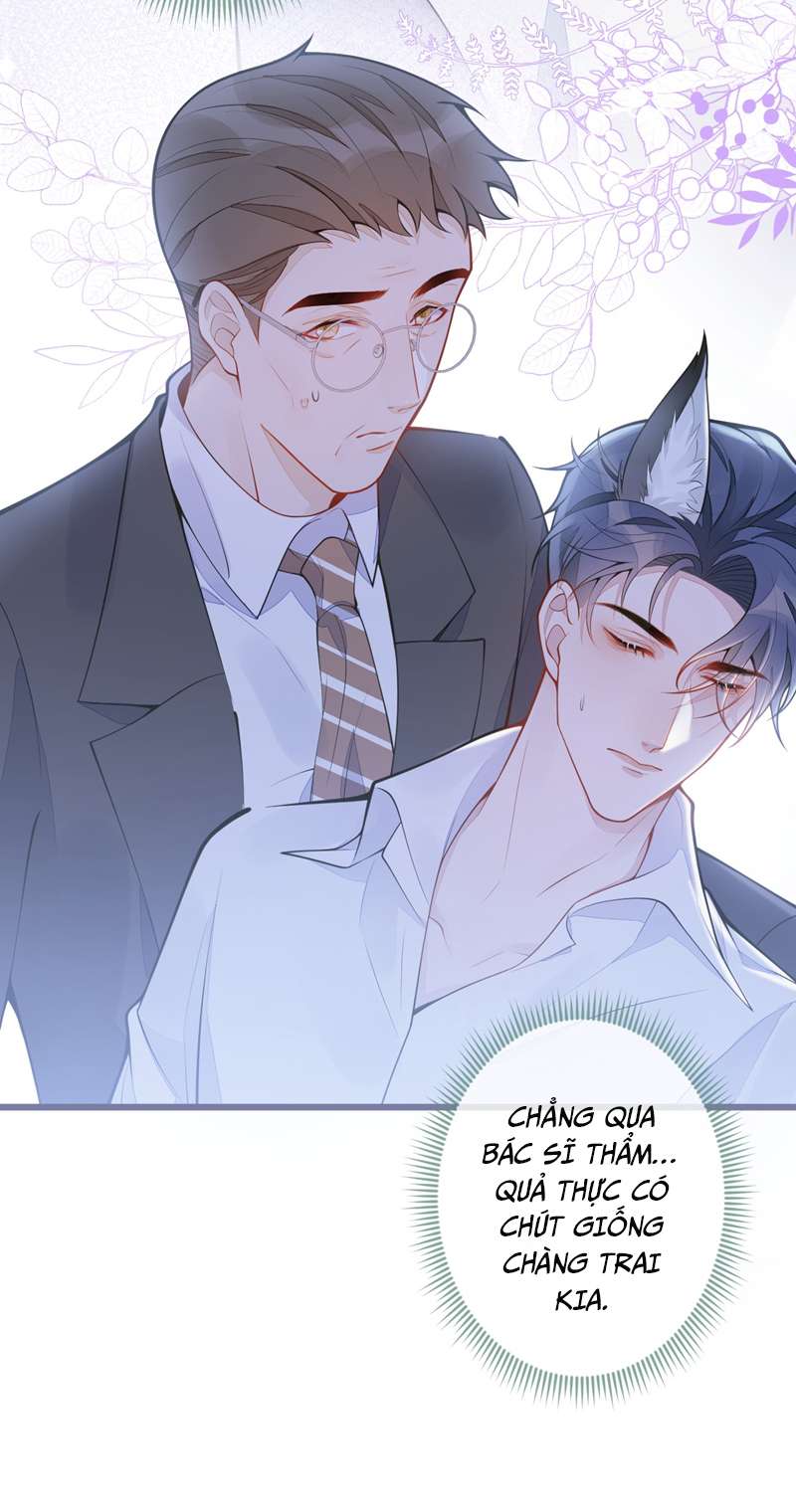 Báo Ân Của Sói Chap 1 - Next Chap 2