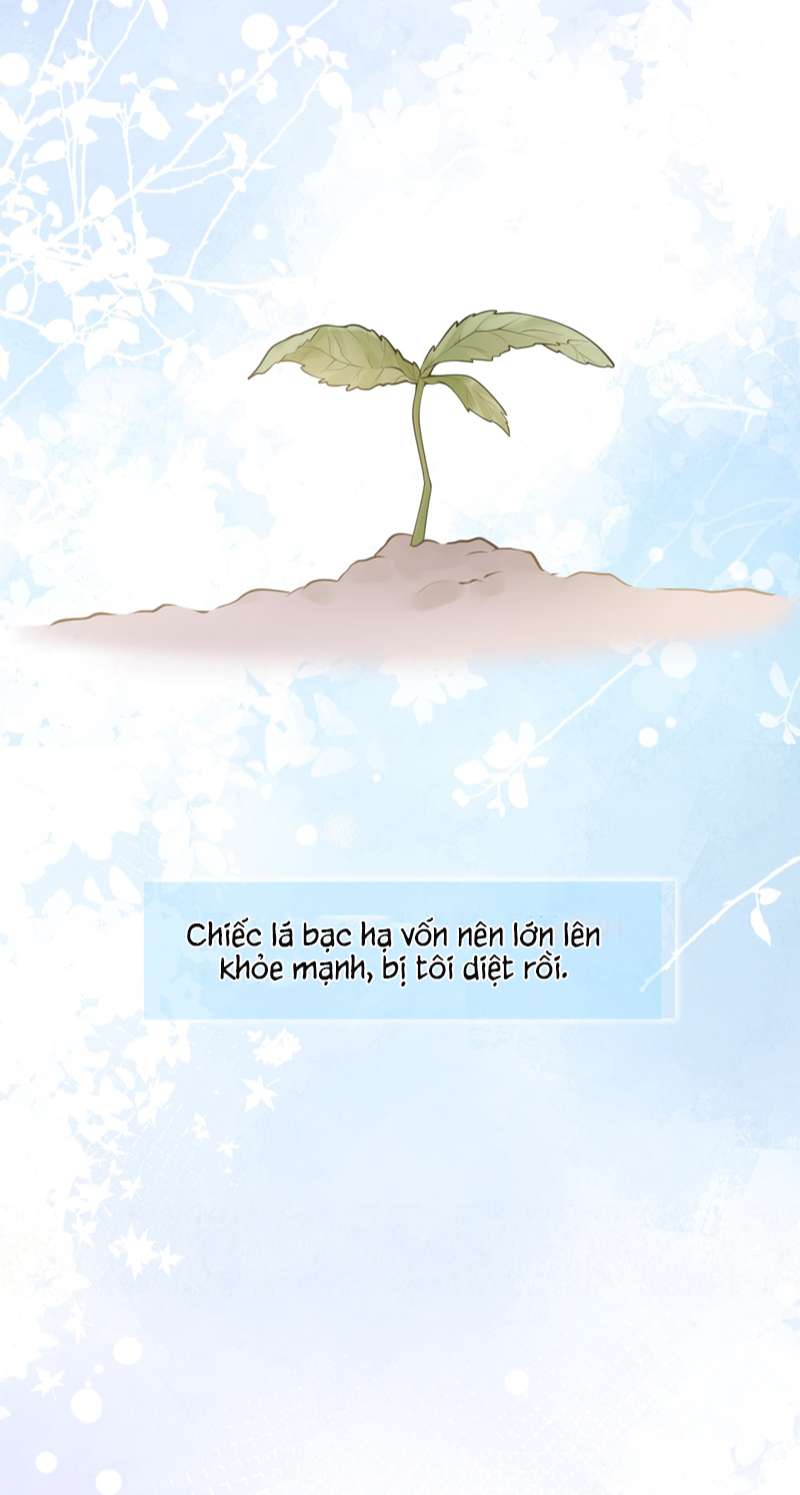 Báo Ân Của Sói Chap 1 - Next Chap 2